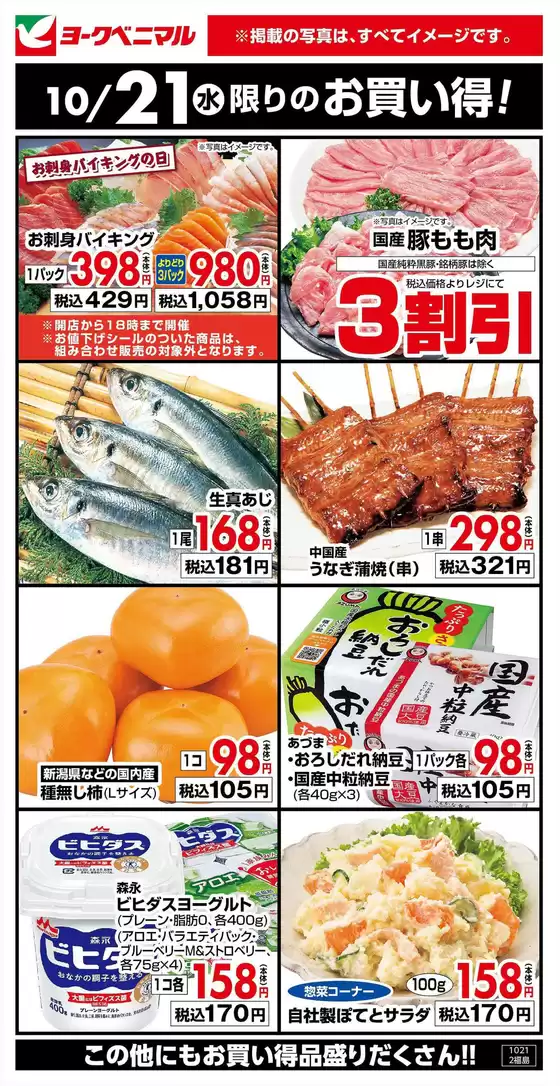 main_flyer image
