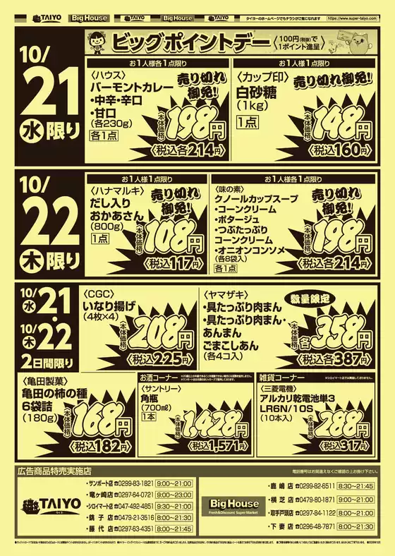 main_flyer image