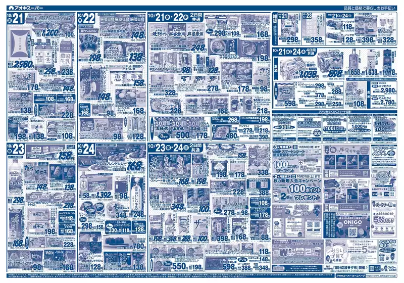 main_flyer image
