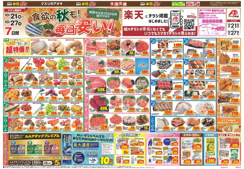main_flyer image