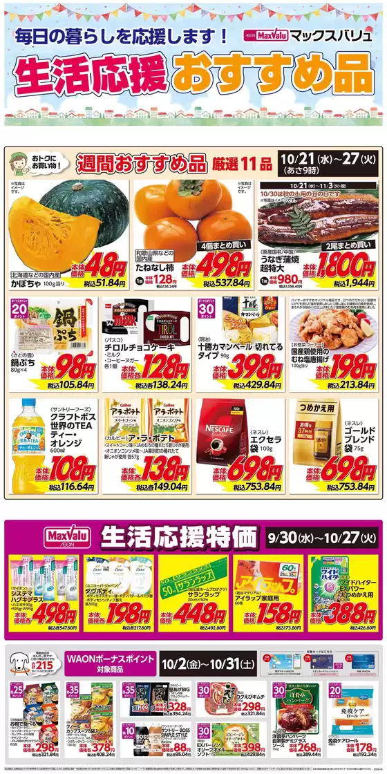 main_flyer image