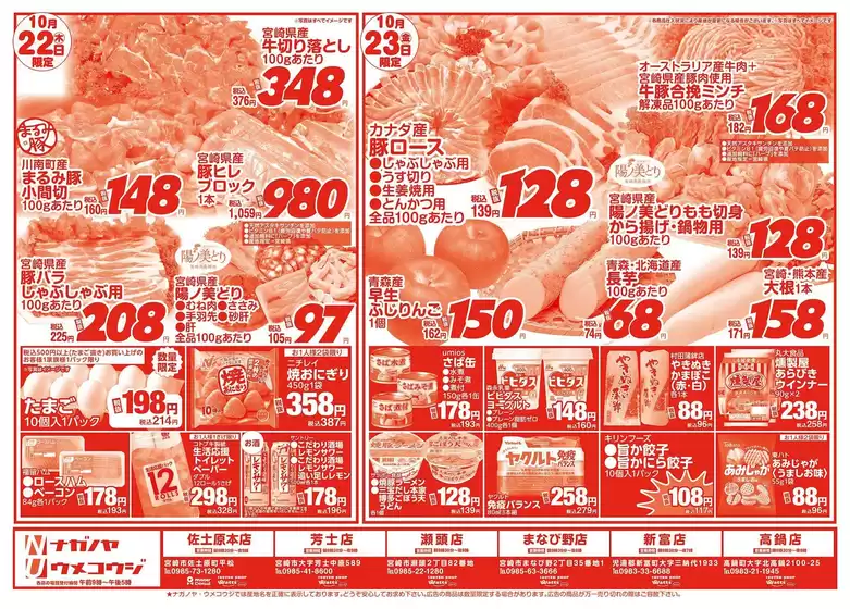 古河市でのNAGANOYAのカタログ | NAGANOYA チラシ | 2026-10-22T00:00:00.000Z - 2026-10-23T00:00:00.000Z