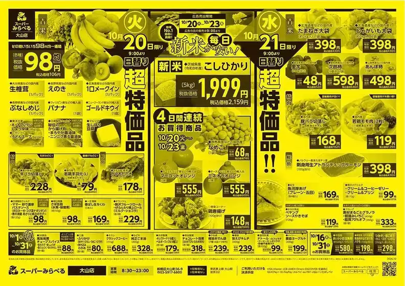 main_flyer image