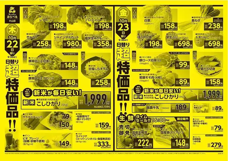 main_flyer image