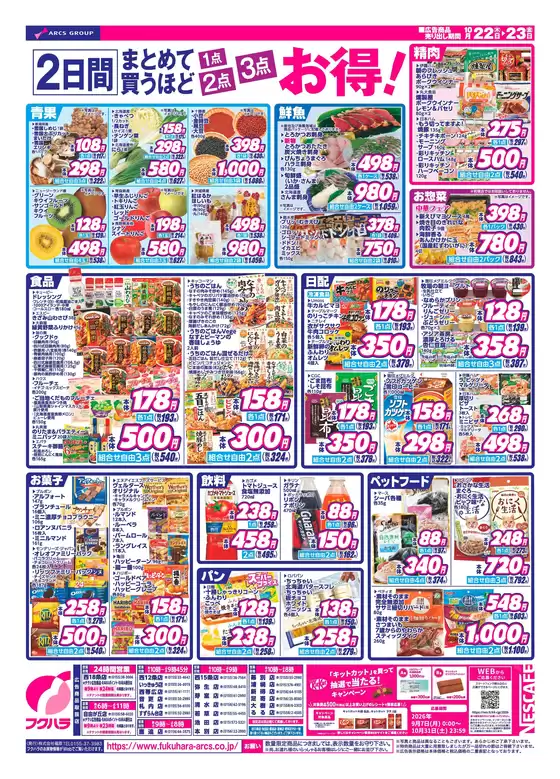 main_flyer image