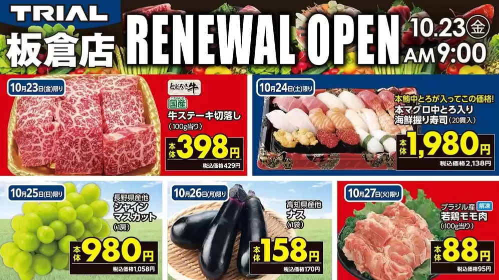 main_flyer image