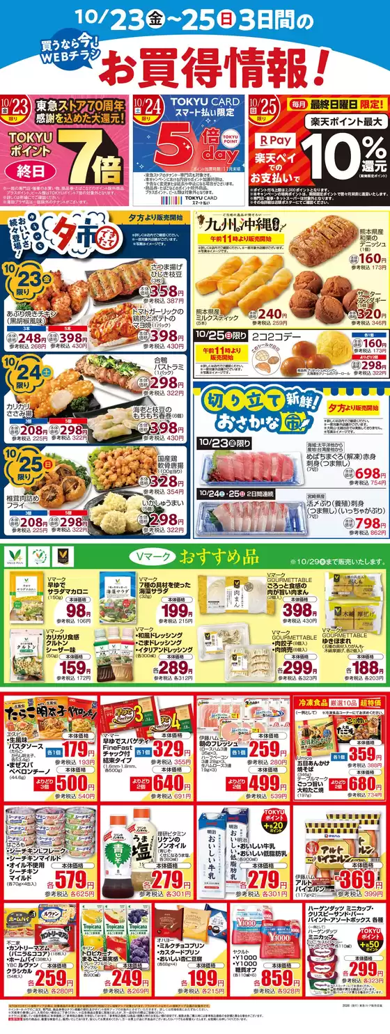 main_flyer image