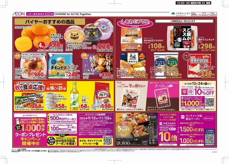 main_flyer image