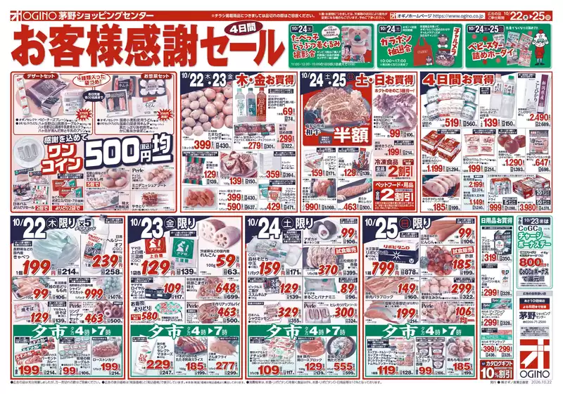 main_flyer image