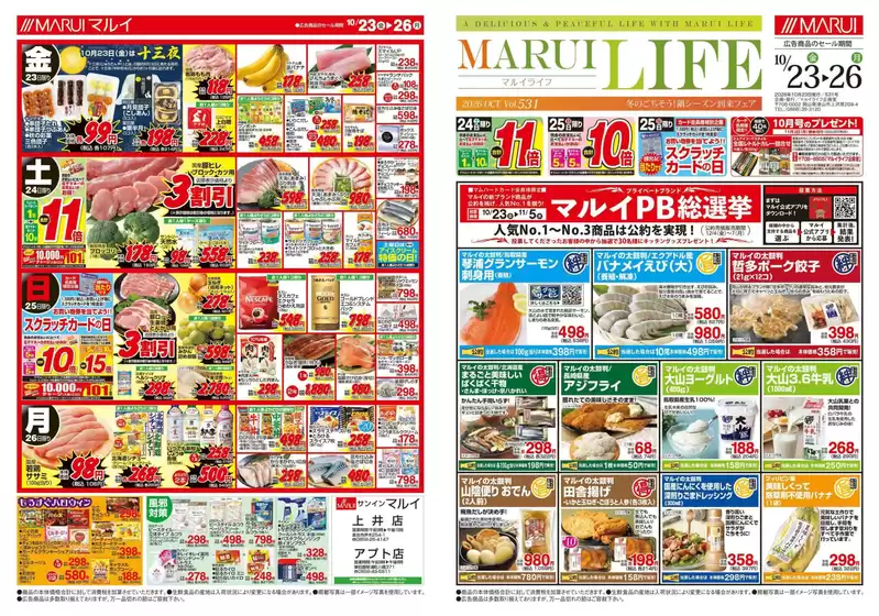 main_flyer image