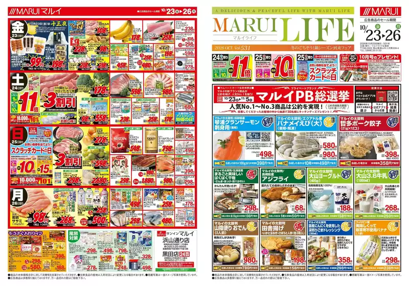 main_flyer image