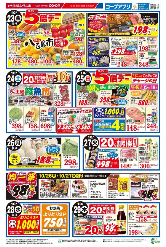 main_flyer image