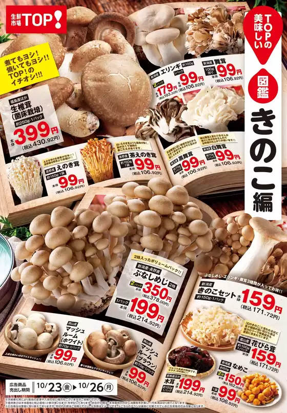 main_flyer image