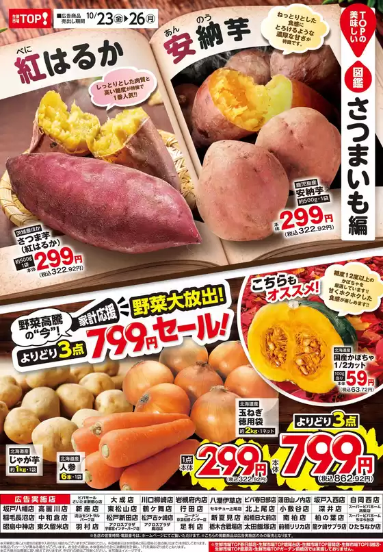 main_flyer image