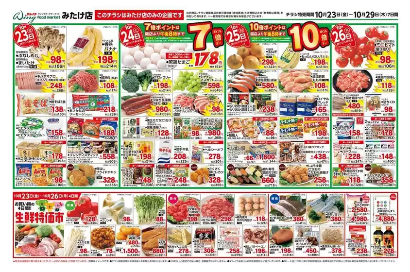 main_flyer image