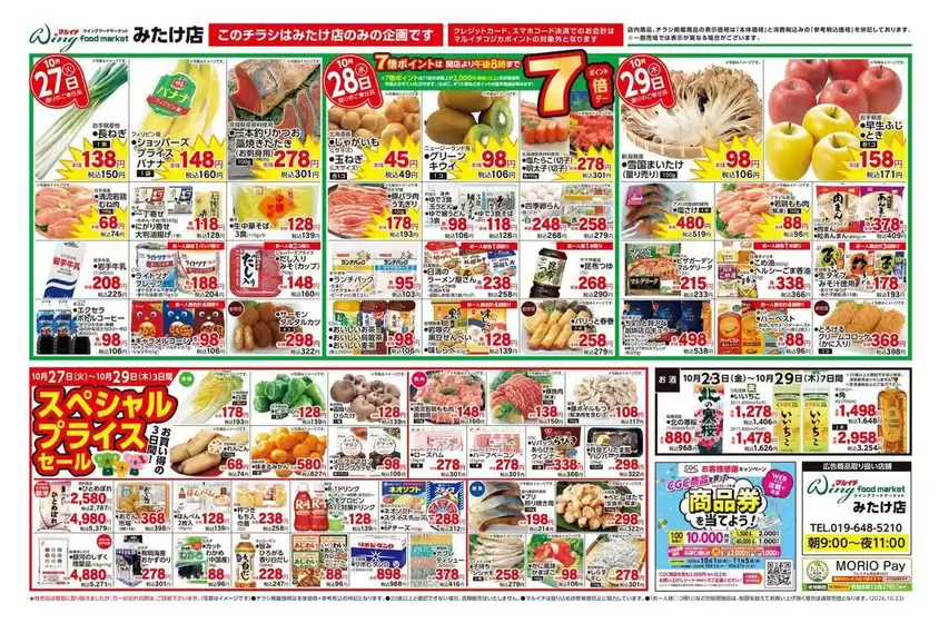 main_flyer image