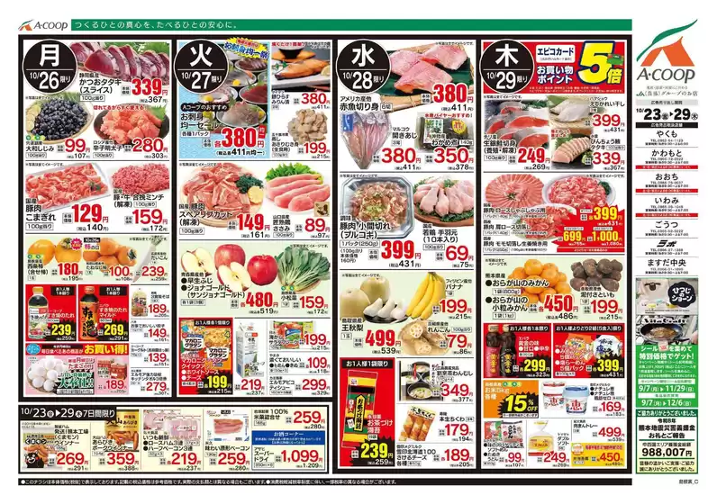 main_flyer image