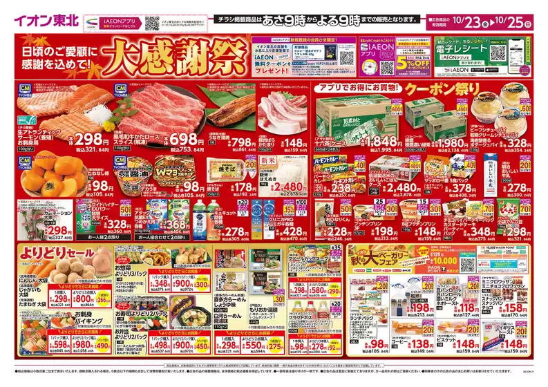 main_flyer image