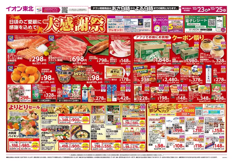 main_flyer image