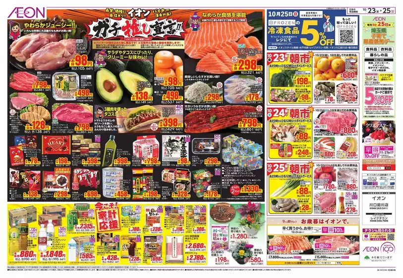 main_flyer image