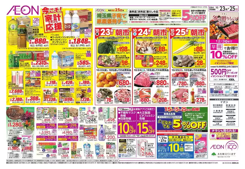 main_flyer image