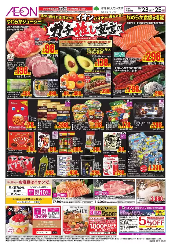 main_flyer image