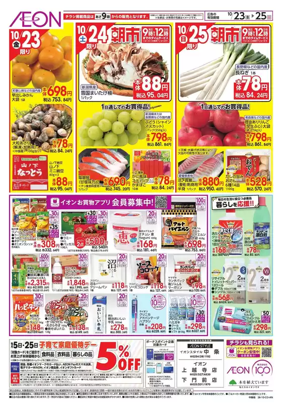 main_flyer image