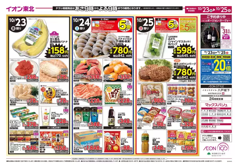 main_flyer image