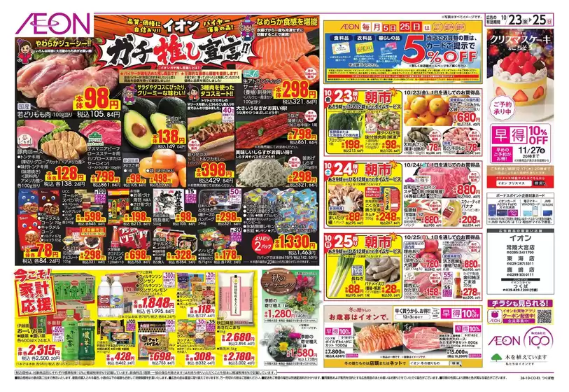 main_flyer image