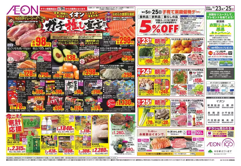 main_flyer image