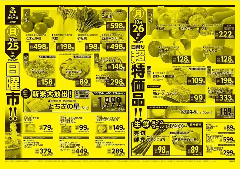 main_flyer image