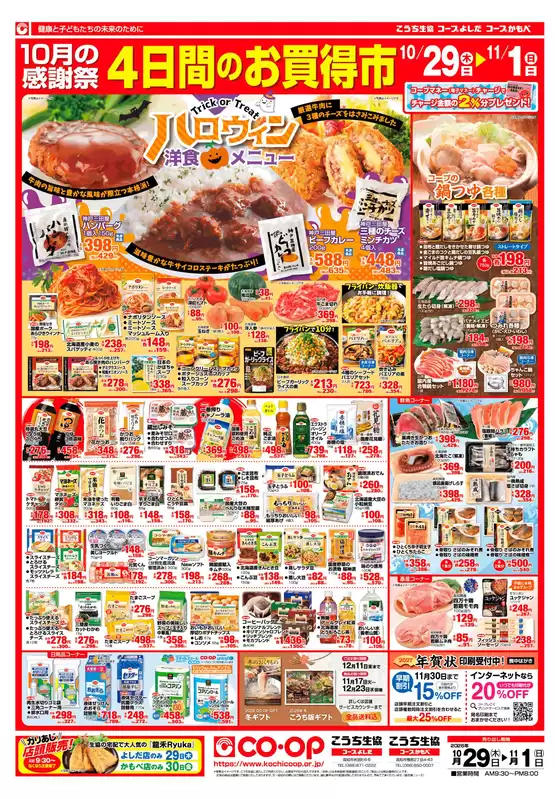 main_flyer image