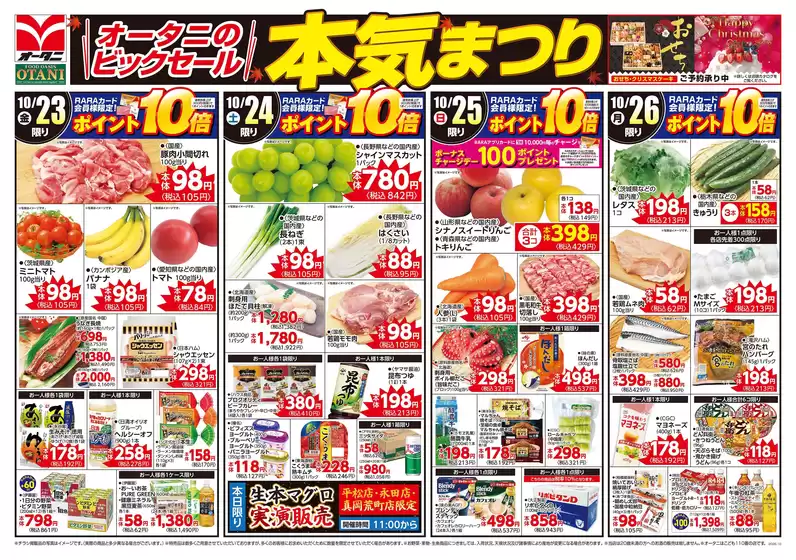 main_flyer image