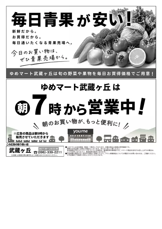 main_flyer image
