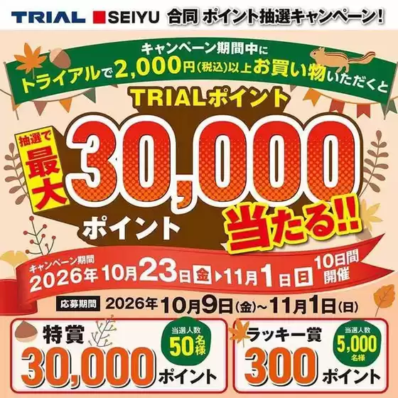 main_flyer image