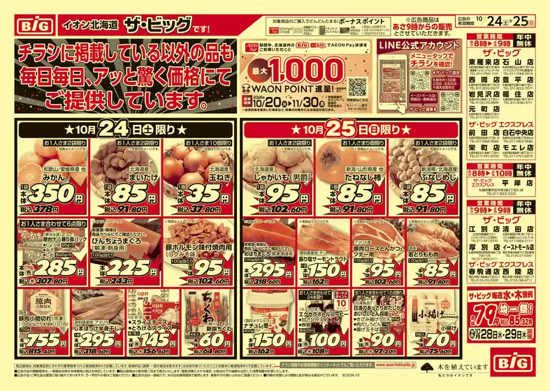 ザ・ビッグのカタログ | ザ・ビッグ チラシ | 2026-10-23T00:00:00.000Z - 2026-10-27T00:00:00.000Z