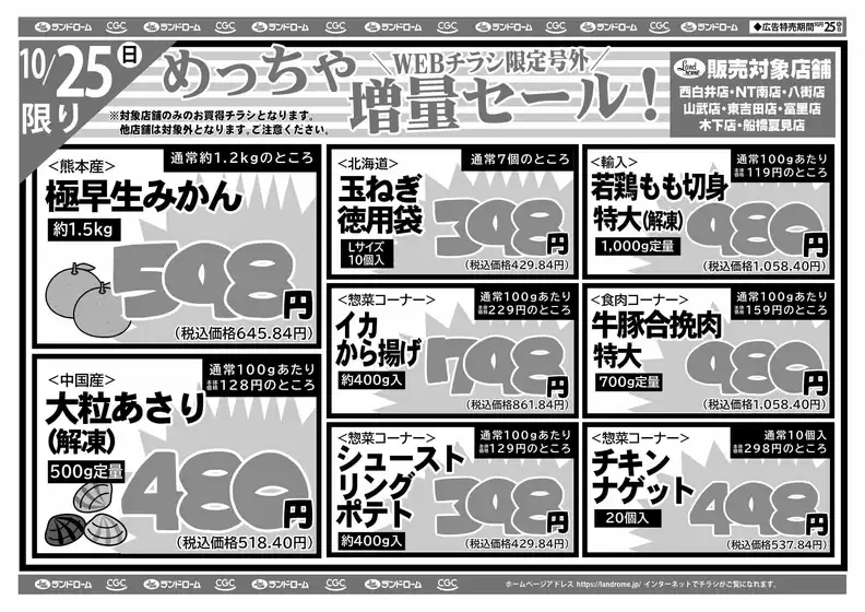 main_flyer image