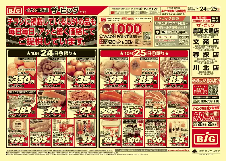 吉野川市でのザ・ビッグのカタログ | 豊富なオファーの選択 | 2026-10-23T00:00:00.000Z - 2026-10-27T00:00:00.000Z