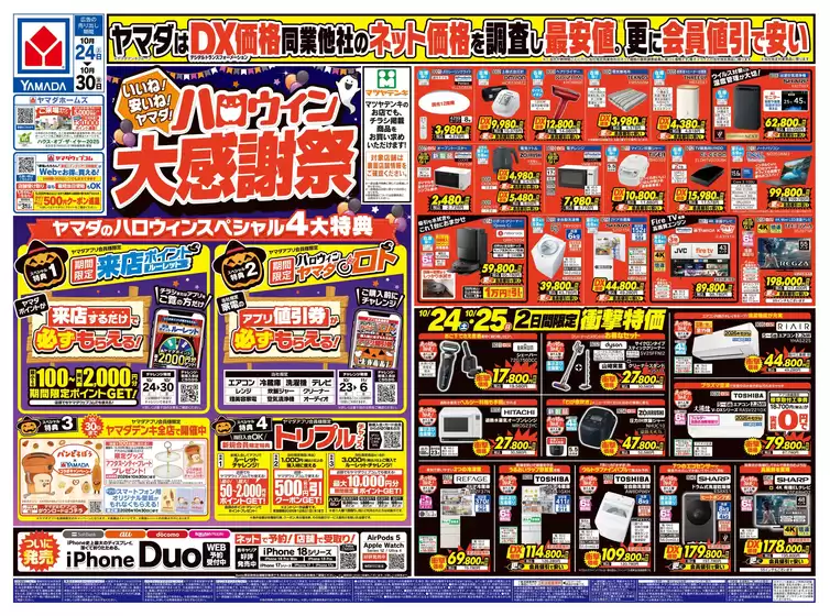 main_flyer image