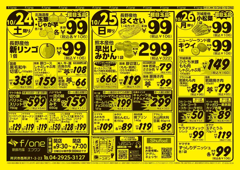 main_flyer image