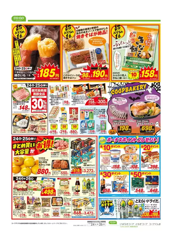 main_flyer image