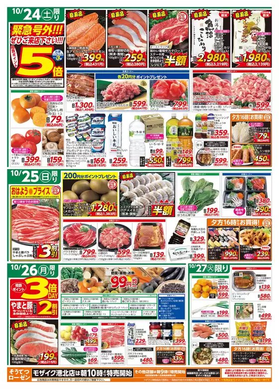 相鉄ローゼンのカタログ | すべてのお客様のための素晴らしいオファー | 2026-10-23T00:00:00.000Z - 2026-10-27T00:00:00.000Z