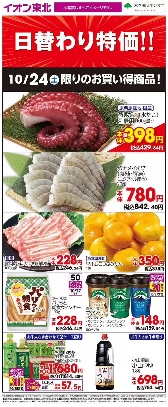 main_flyer image