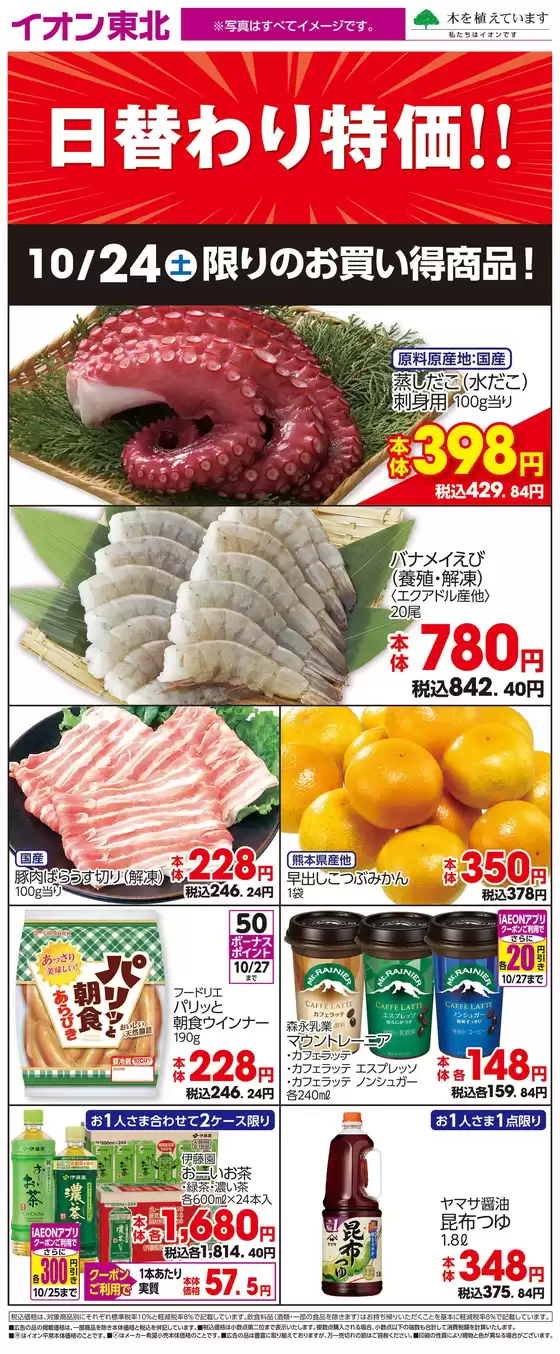 main_flyer image