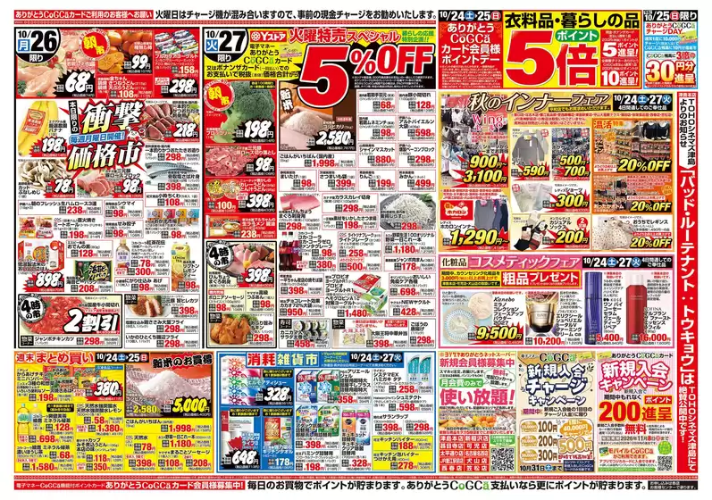 main_flyer image