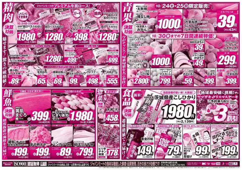 main_flyer image