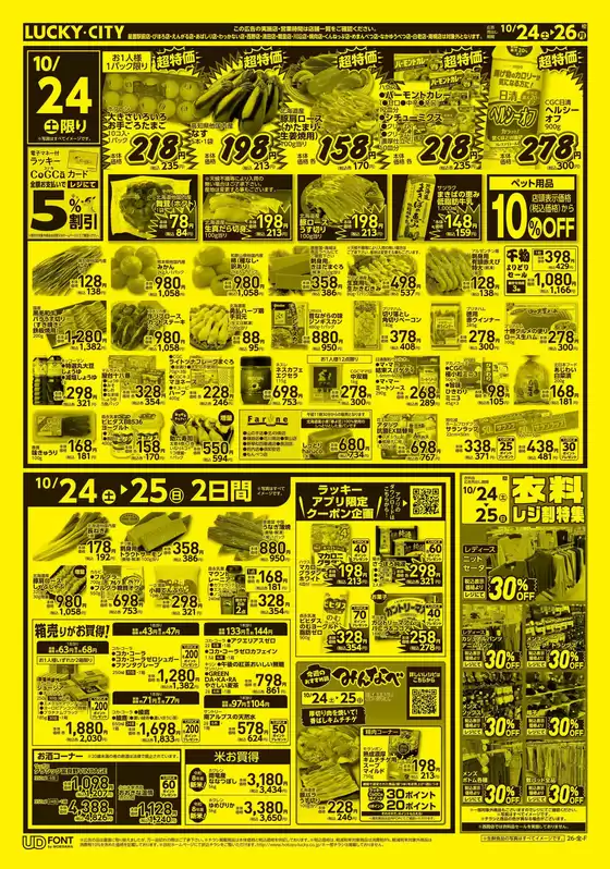 main_flyer image