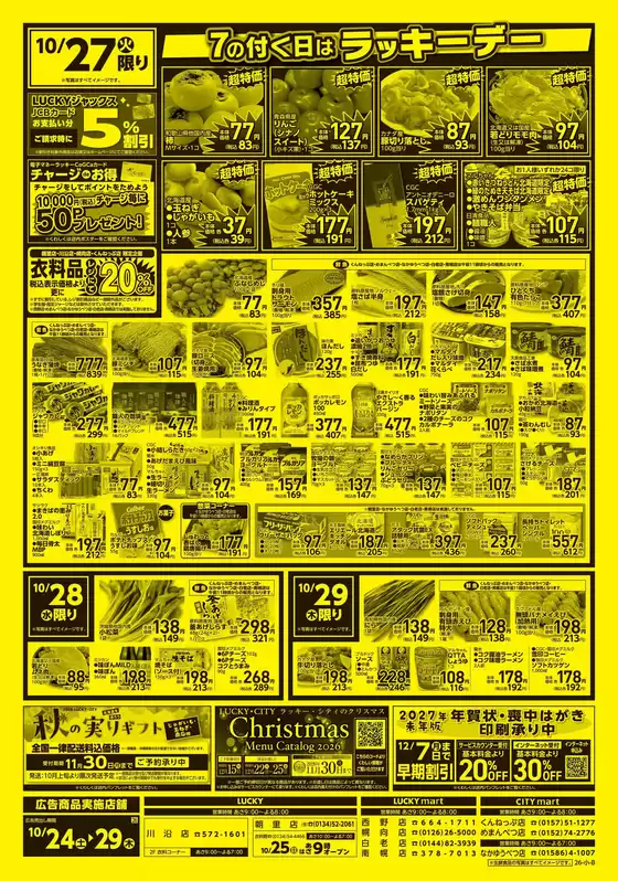 main_flyer image
