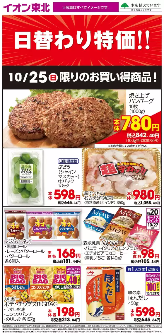main_flyer image
