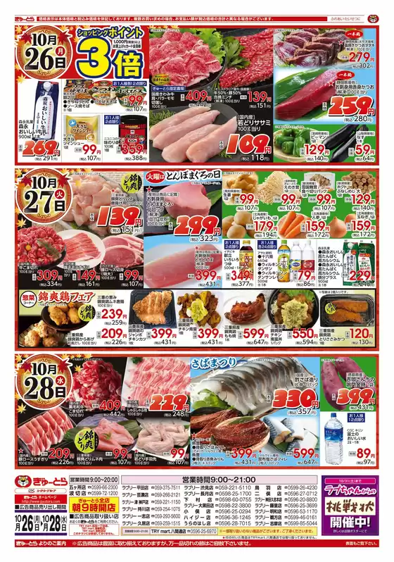 main_flyer image